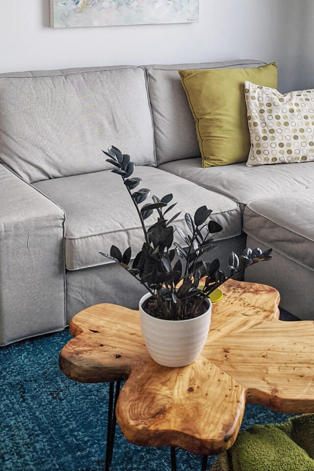 plants shop product gallery img 3